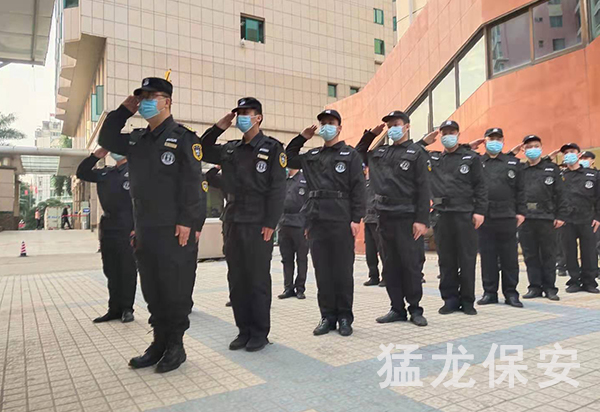草莓视频污污污在线观看報價