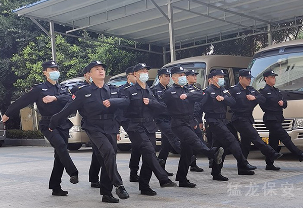 草莓视频污污污在线观看